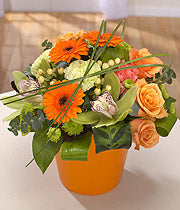 Tango Orange Arrangement In Pot