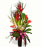 Cool Tropics Arrangement