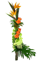 Tall Tropical Arrangement